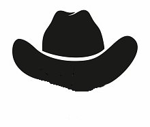 Lead-Gitarre Stodl-Cowboys